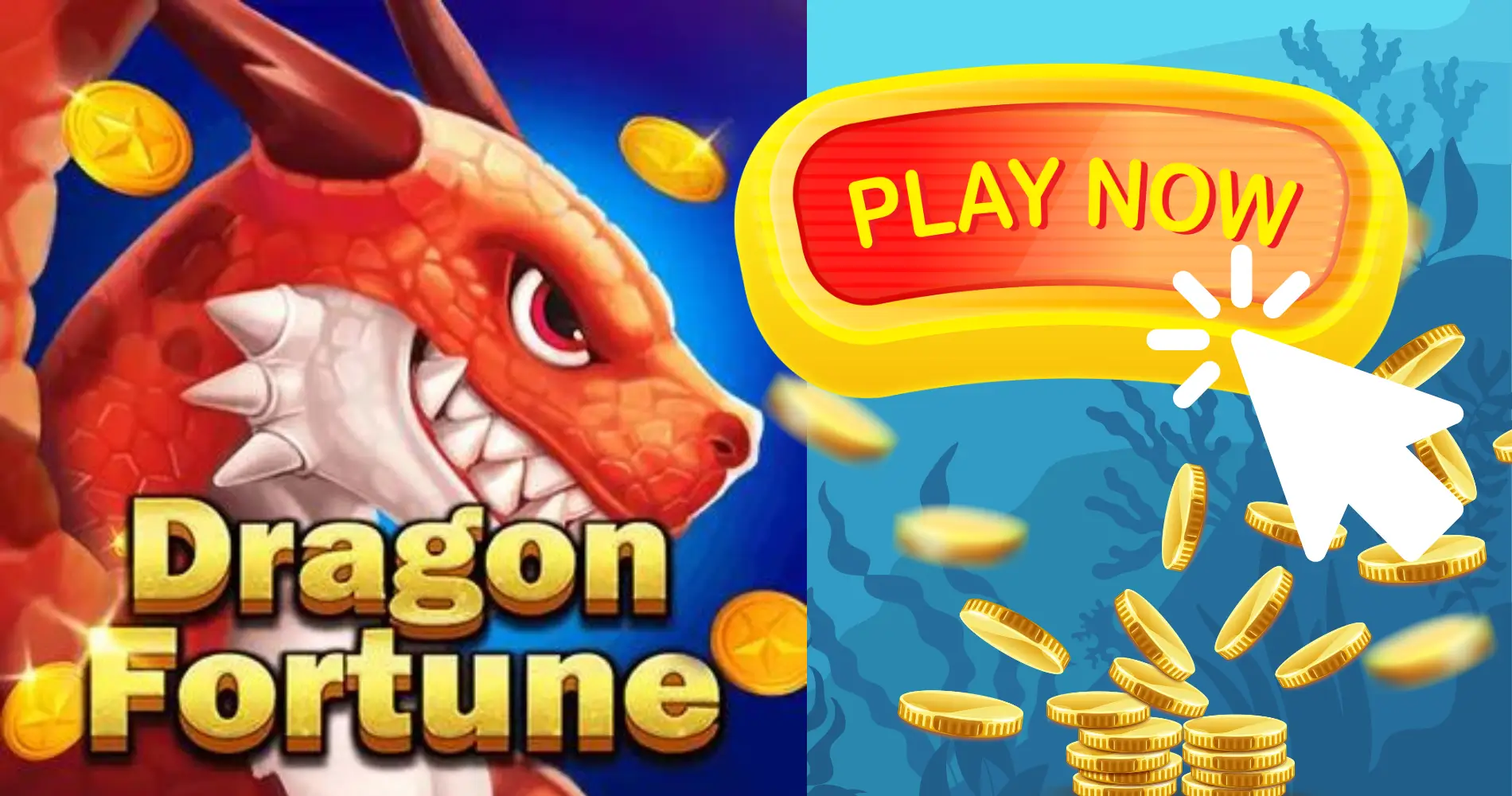 Dragon fortune